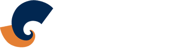 Digital Maelstrom logo in white