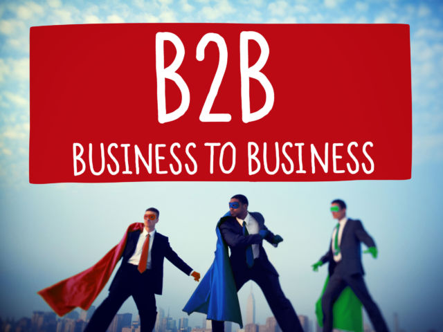 B2B Service Providers